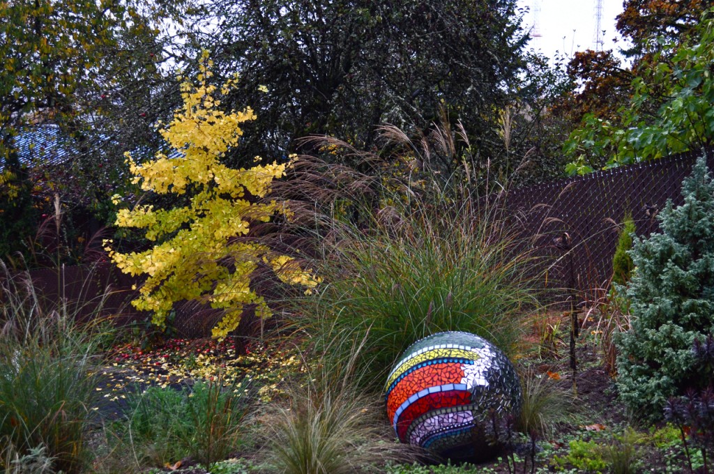 HYLAND-ginkgo fall color Hyland Garden Design