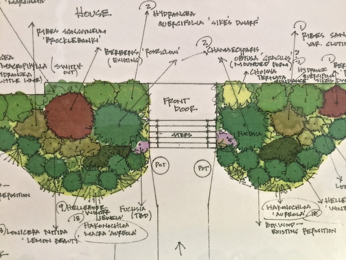 HGD-Border Design